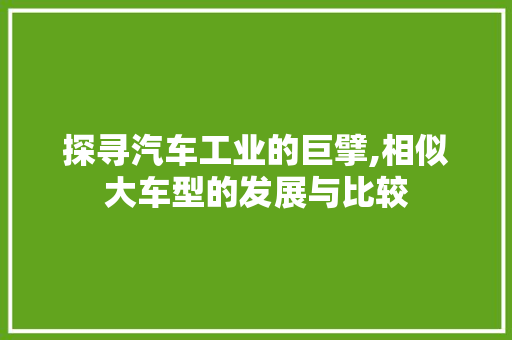探寻汽车工业的巨擘,相似大车型的发展与比较