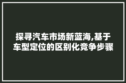 探寻汽车市场新蓝海,基于车型定位的区别化竞争步骤