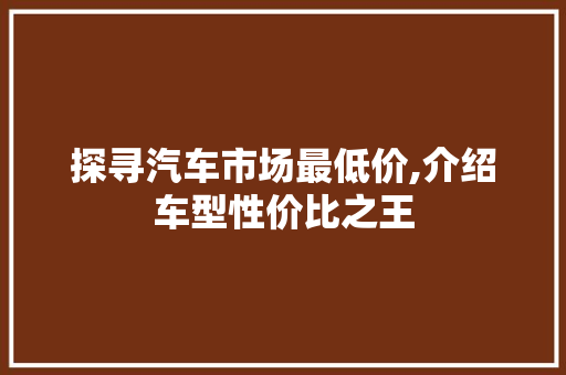 探寻汽车市场最低价,介绍车型性价比之王