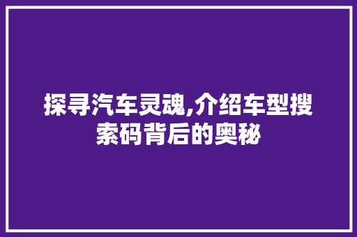 探寻汽车灵魂,介绍车型搜索码背后的奥秘