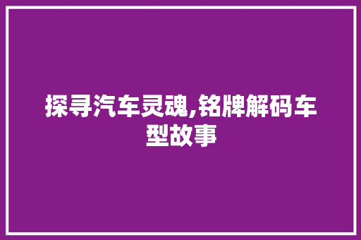 探寻汽车灵魂,铭牌解码车型故事 蓄电池配件