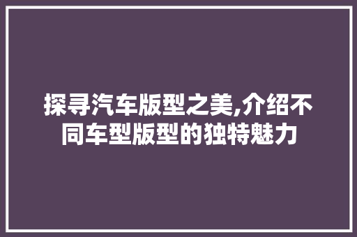 探寻汽车版型之美,介绍不同车型版型的独特魅力 蓄电池配件