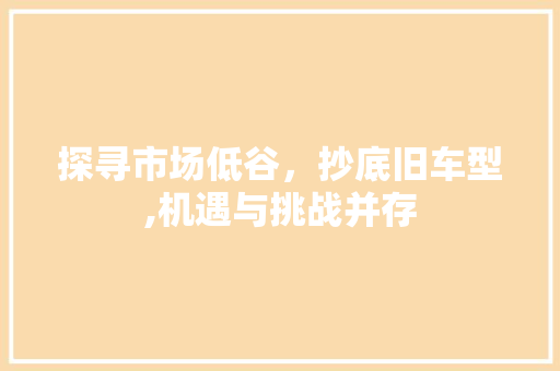探寻市场低谷，抄底旧车型,机遇与挑战并存