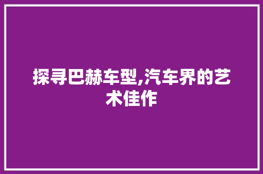 探寻巴赫车型,汽车界的艺术佳作