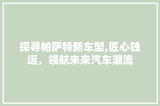 探寻帕萨特新车型,匠心独运，领航未来汽车潮流