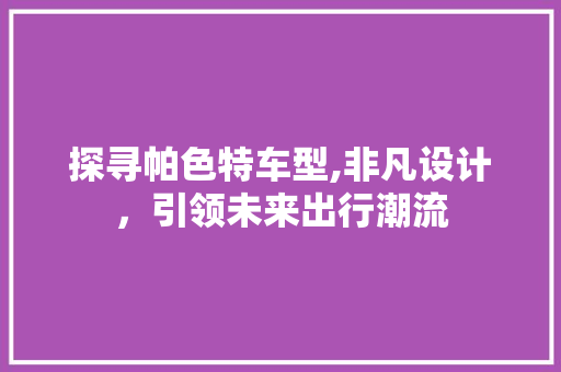 探寻帕色特车型,非凡设计，引领未来出行潮流