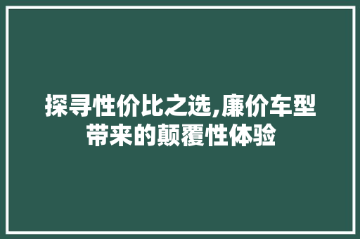 探寻性价比之选,廉价车型带来的颠覆性体验