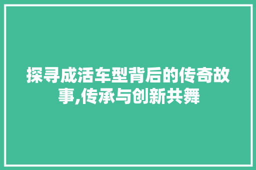 探寻成活车型背后的传奇故事,传承与创新共舞