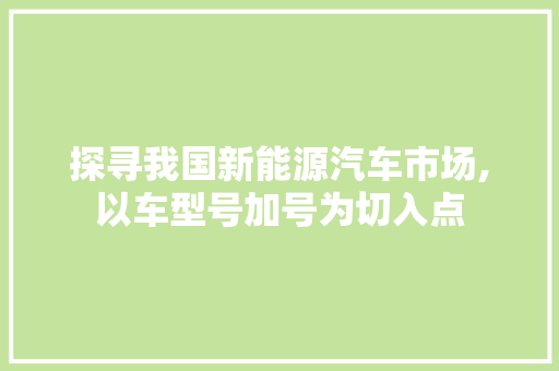 探寻我国新能源汽车市场,以车型号加号为切入点