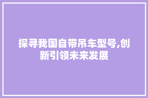 探寻我国自带吊车型号,创新引领未来发展