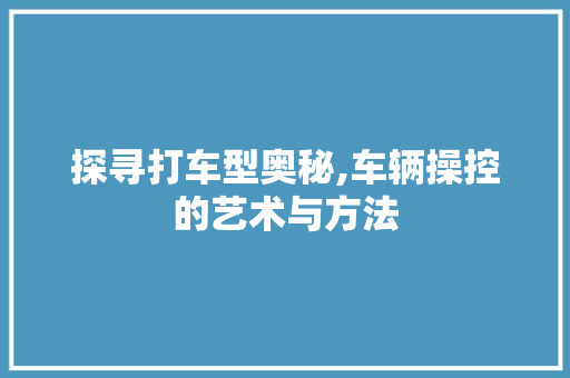 探寻打车型奥秘,车辆操控的艺术与方法