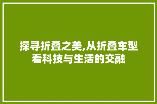 探寻折叠之美,从折叠车型看科技与生活的交融