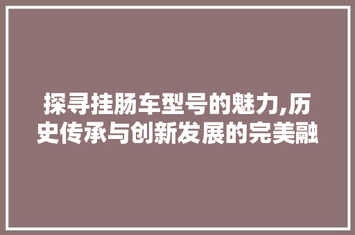 探寻挂肠车型号的魅力,历史传承与创新发展的完美融合