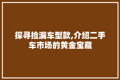 探寻捡漏车型款,介绍二手车市场的黄金宝藏