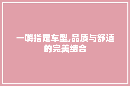 一嗨指定车型,品质与舒适的完美结合