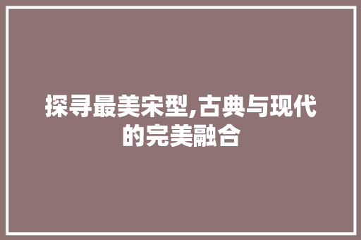 探寻最美宋型,古典与现代的完美融合