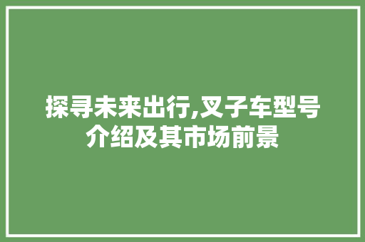 探寻未来出行,叉子车型号介绍及其市场前景 新款车型