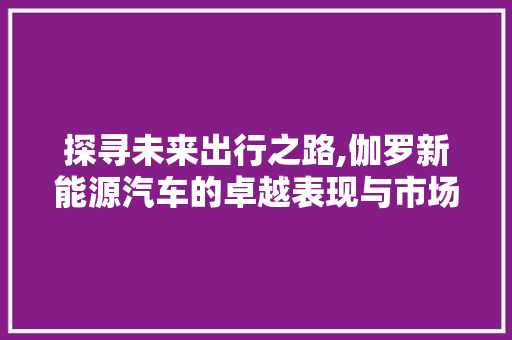探寻未来出行之路,伽罗新能源汽车的卓越表现与市场前景
