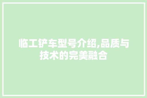 临工铲车型号介绍,品质与技术的完美融合