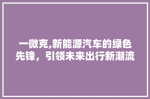 一微克,新能源汽车的绿色先锋，引领未来出行新潮流
