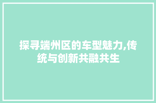 探寻端州区的车型魅力,传统与创新共融共生