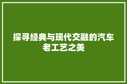 探寻经典与现代交融的汽车老工艺之美