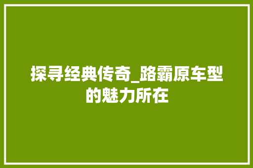 探寻经典传奇_路霸原车型的魅力所在 车身配件