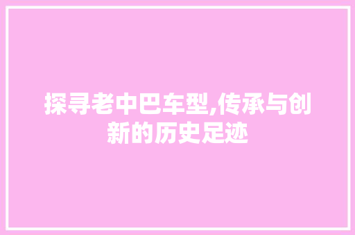 探寻老中巴车型,传承与创新的历史足迹