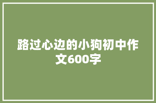 九号线地铁车型,创新驱动下的绿色出行典范
