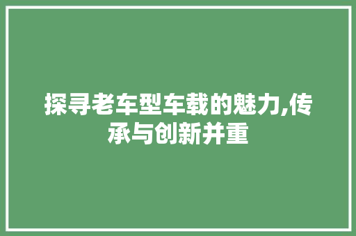 探寻老车型车载的魅力,传承与创新并重