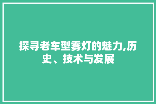 探寻老车型雾灯的魅力,历史、技术与发展