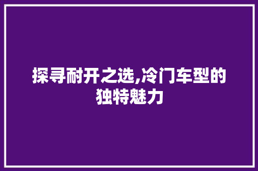 探寻耐开之选,冷门车型的独特魅力