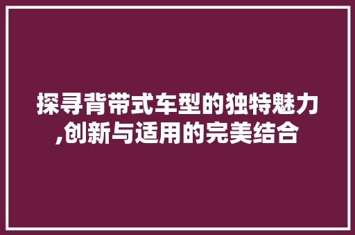 探寻背带式车型的独特魅力,创新与适用的完美结合