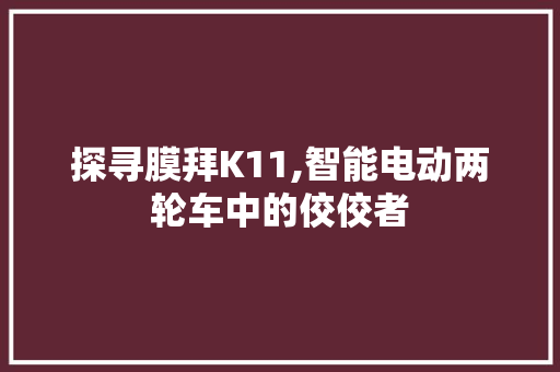 探寻膜拜K11,智能电动两轮车中的佼佼者 新款车型