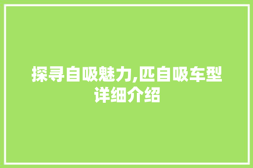 探寻自吸魅力,匹自吸车型详细介绍
