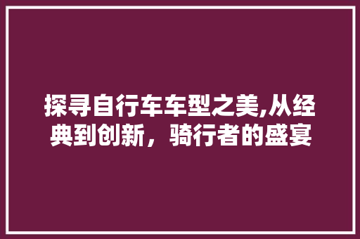 探寻自行车车型之美,从经典到创新，骑行者的盛宴