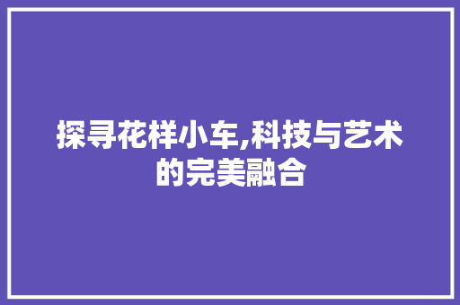 探寻花样小车,科技与艺术的完美融合 车身配件