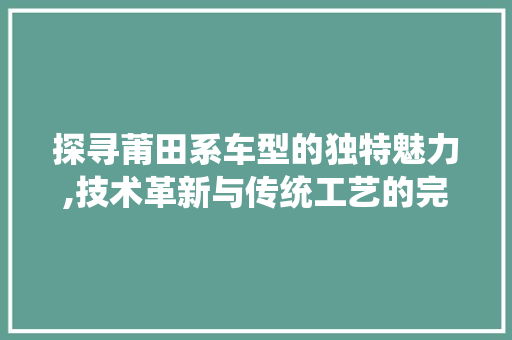 探寻莆田系车型的独特魅力,技术革新与传统工艺的完美融合