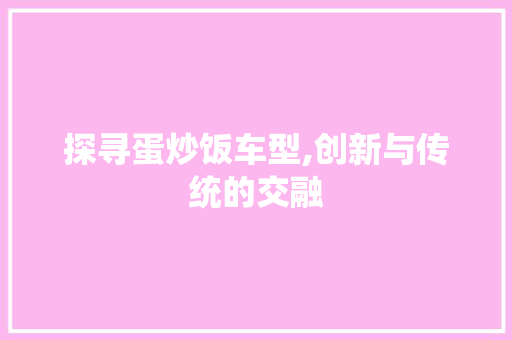 探寻蛋炒饭车型,创新与传统的交融