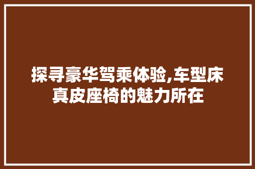 探寻豪华驾乘体验,车型床真皮座椅的魅力所在