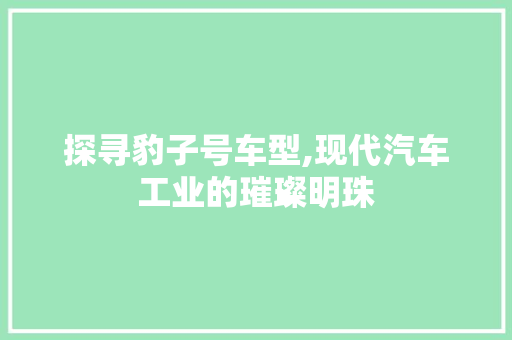 探寻豹子号车型,现代汽车工业的璀璨明珠