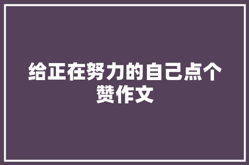 九百万车型,引领未来出行，探索智能驾驶新篇章