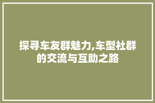 探寻车友群魅力,车型社群的交流与互助之路 车灯配件