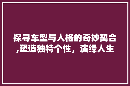探寻车型与人格的奇妙契合,塑造独特个性，演绎人生风采