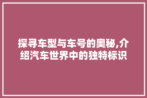 探寻车型与车号的奥秘,介绍汽车世界中的独特标识