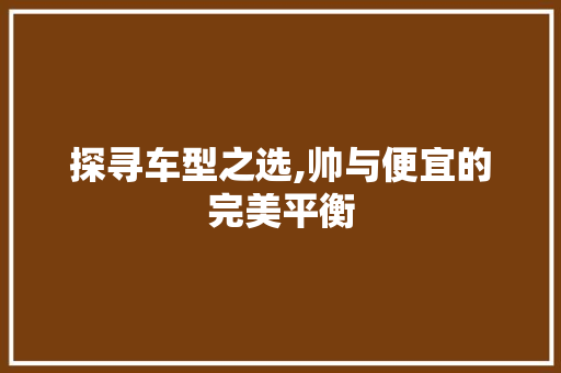 探寻车型之选,帅与便宜的完美平衡