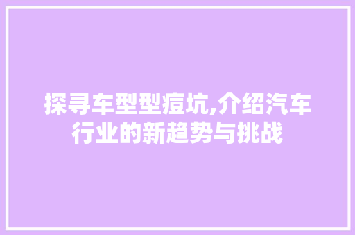 探寻车型型痘坑,介绍汽车行业的新趋势与挑战