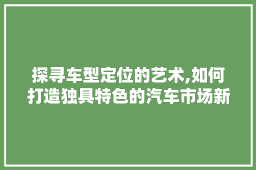 探寻车型定位的艺术,如何打造独具特色的汽车市场新宠