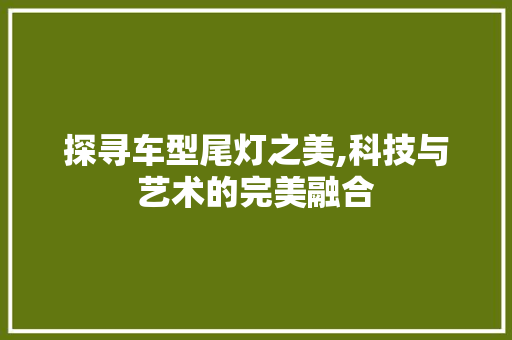 探寻车型尾灯之美,科技与艺术的完美融合
