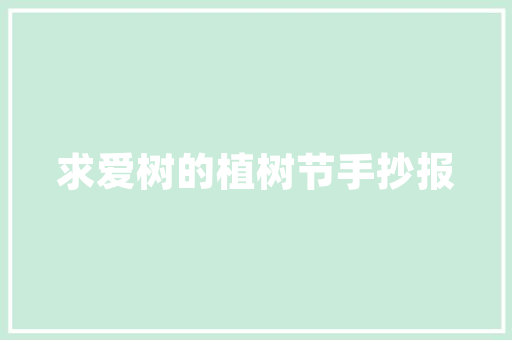 书记风车型,引领未来出行潮流的绿色典范